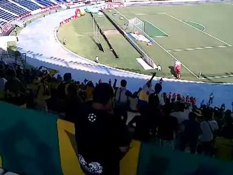 Tiburón que putos que son - Rebelión AURIVERDE norte Real Cartagena vs Junior de Barranquilla