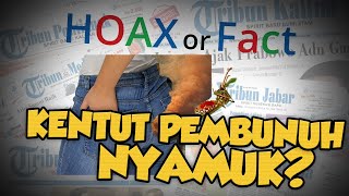 Hoax or Fact: Kentut Pria Uganda Mampu Membunuh Nyamuk?