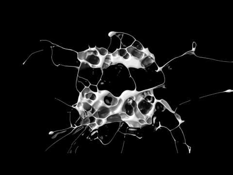 Dan D-Noy vs Peakafeller - The Clown Song (Radio Edit)