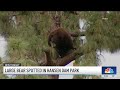 Hansen Dam Park in San Fernando Valley evacuated due to bear