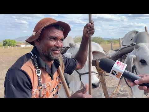 Carreiros na Festa de Demir Luxúria São José da Tapera - AL  30 - 11 - 2025 #nordeste 