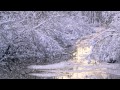 White Christmas by Merle Haggard