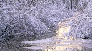 White Christmas Music Video