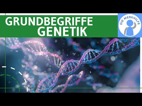 Basic concepts of genetics - genes, DNA, protein biosynthesis, cell division, meiosis & chromosomes