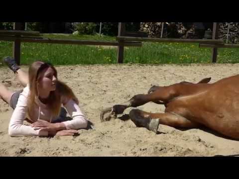 MUSTANG MAKEOVER 2018 Team Lina (TAG 4221) - Update 2