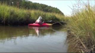 preview picture of video 'Adventures In Kayaking - Belle Isle State Park, VA'