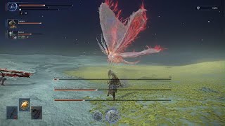 ELDEN RING NIGHTREIGN - Everdark sentient pest wylder x 2 executor