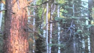 Randy Travis When Mama Prayed