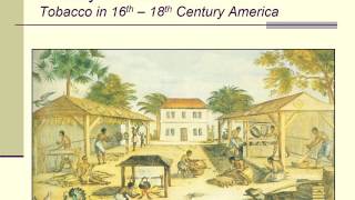 Lecture 6a: nicotine (summer, 2017)