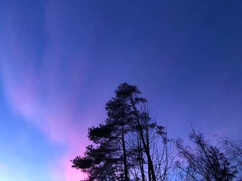 Walter Nakai  - Creation