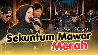 Download lagu SEKUNTUM MAWAR MERAH - IZZA BONITA (DANGDUT LAWAS KENDANG KIMPUL) #cover mp3