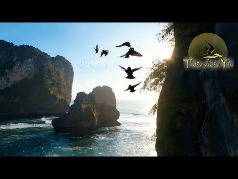 Thien Nhien Yen official Video in VN