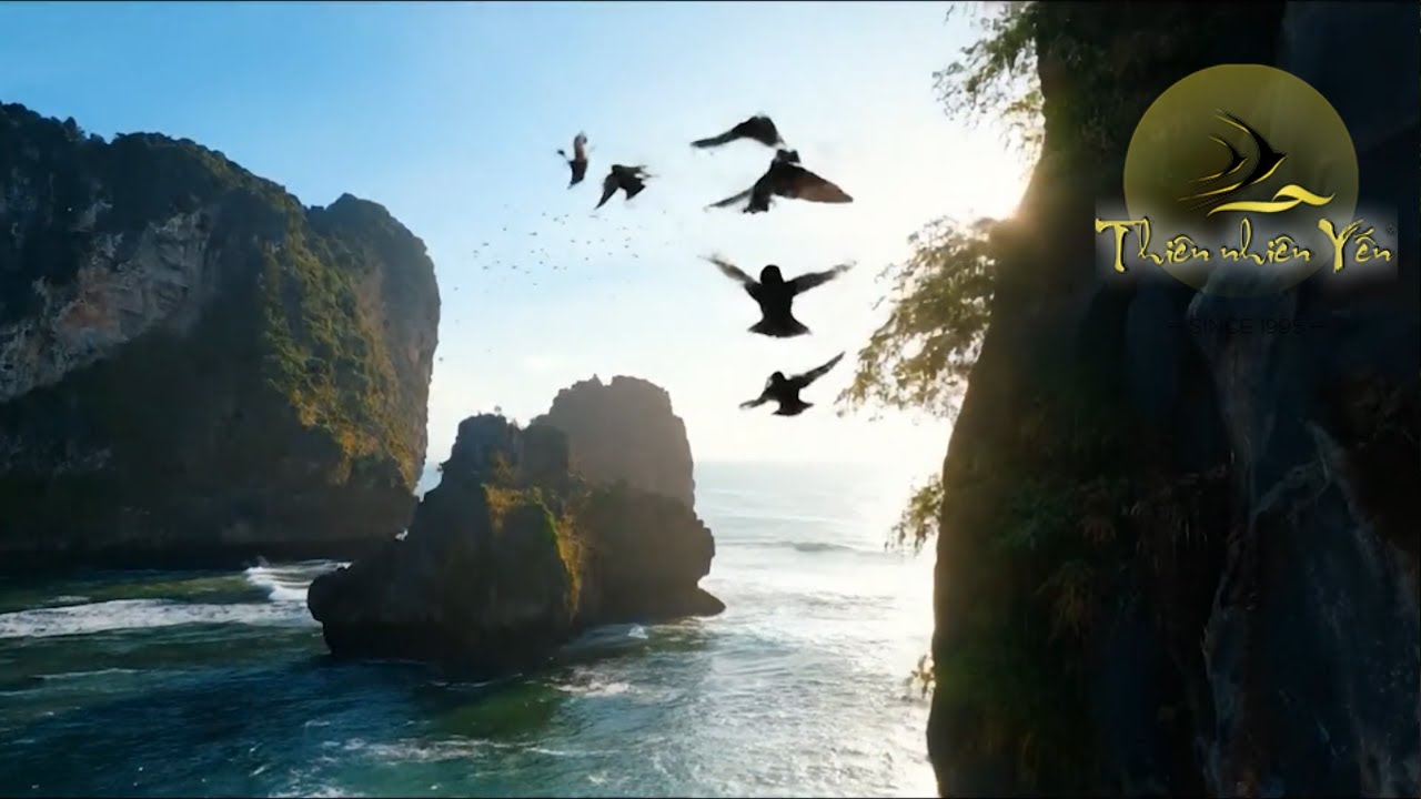 Thien Nhien Yen official Video in VN