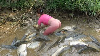 Full Videos: How To Catch Fish In The Wild, Traditional Fishing with Net, Catching a Lots of Fish