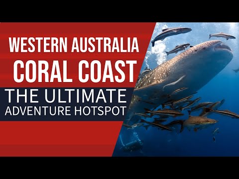 Exploring Western Australia's Coral Coast!
