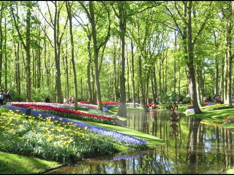 Keukenhof 2018  . Holland .Most Beautiful Spring Garden in the World...Must Watch