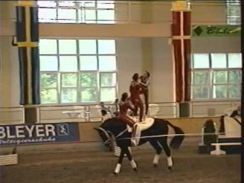 CVI Stadl-Paura 2003 - Ingelsberg 1