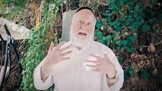 לך לך אברם   ואתם בניו תמשיכו ללכת