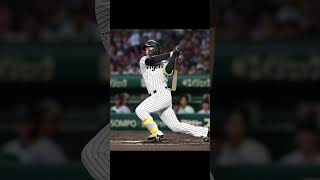 【今日のNPB】日本のプロ野球最新ニュース｜阪神、ソフトバンク、楽天　2026年7月16日（木）