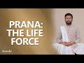 PRANA: THE LIFE FORCE | Naam Deo