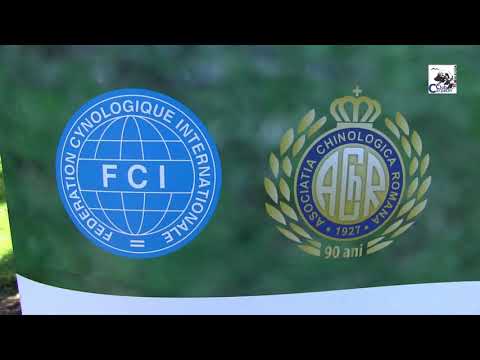 Ciobănescul românesc Carpatin in mediul academic