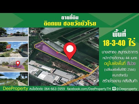🏡ขายที่ดิน!! สีม่วง 18-3-40ไร่ ซ.วัดบัวโรย บางนา-ตราด กม.23 เหมาะสำหรับสร้างโรงงาน, โกดังคลังสินค้า ที่พักอาศัย ราคาถูก – รูปที่ 2