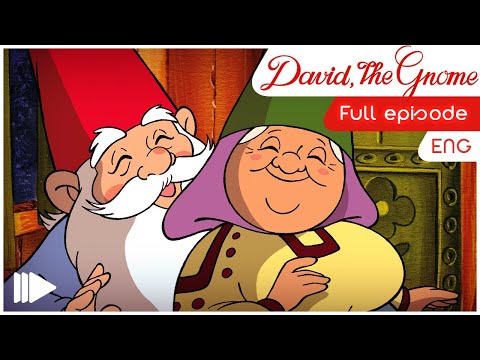 David the Gnome - 3 - The Italian girl | Full Episode |