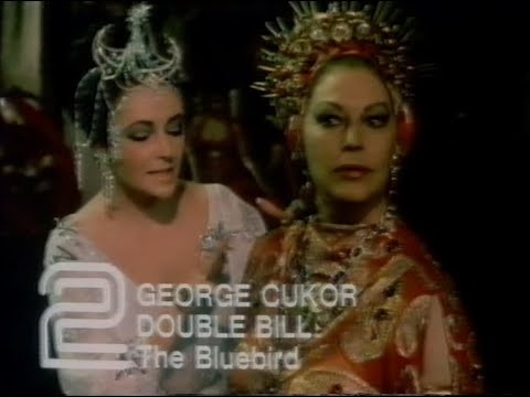 Sunday 19th April 1981 BBC2 - George Cukor - Adam's Rib - Blue Bird - Snooker - David Attenborough