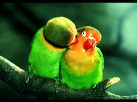 Etoto Valobashi: Proloy