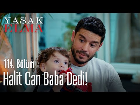 Halit Can baba dedi! - Yasak Elma 114. Bölüm