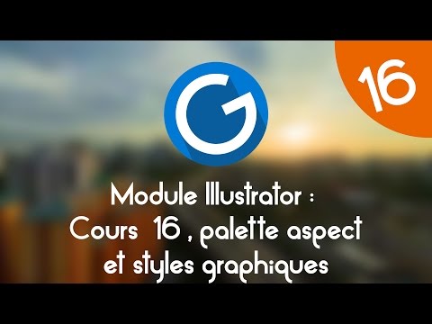Formation IMM Module Illustrator Cours tuto 16 aspect et style graphique