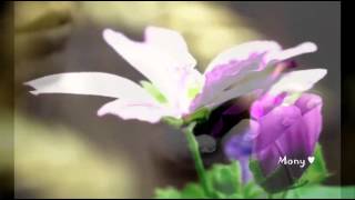 Ogni Fiore ♥ღ¸.•°*♥ Giorgia