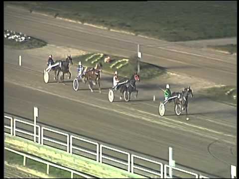 Trotto 14/01/2016 - prova di qualifica