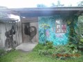 Shanty Jamaica Land