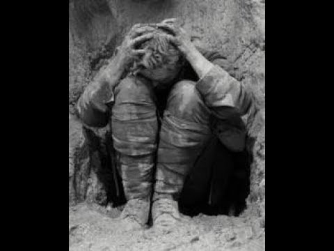 Suicide in the Trenches