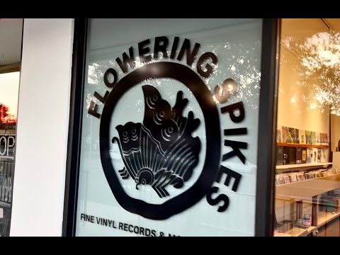 THE COOLEST RECORD STORE IN LOS ANGELES..? (Yes!) - Take a guided tour...