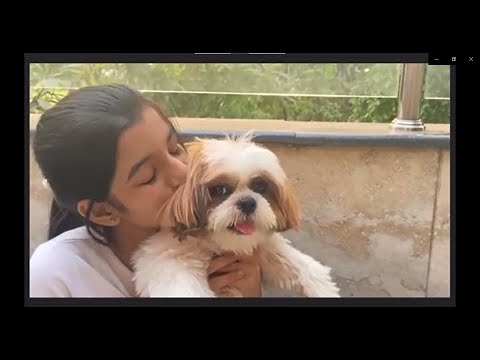 The Role Of A Dog, A Short Film (during the lockdown)