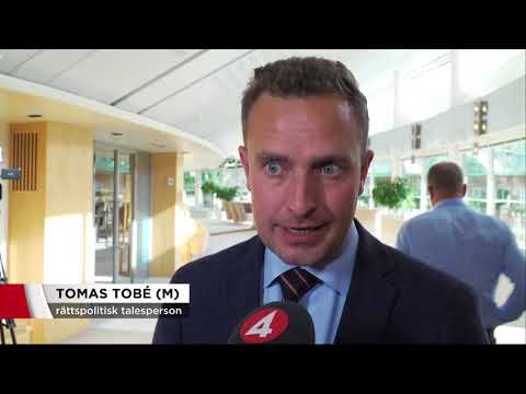 Sjöstedt: "Då kan han inte vara chef för polisen" - Nyheterna (TV4)