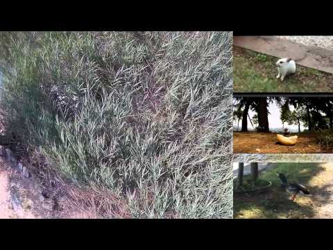 Ein tierischer Tag im Paradies San Biagio am Gardasee