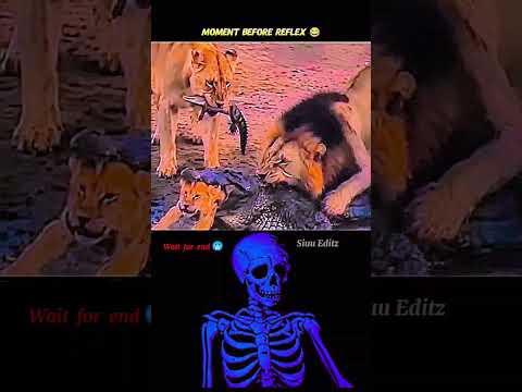 #edit