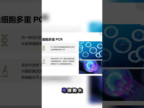 揭秘单细胞多重PCR：基因表达的微观世界🔬