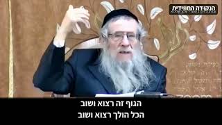 הגה״ח הרב ווכטר שליט״א | ״רצוא ושוב״ - למה העולם עובד כך? (הרב אברהם מנחם מענדל וכטר) - התמונה מוצגת ישירות מתוך אתר האינטרנט יוטיוב. זכויות היוצרים בתמונה שייכות ליוצרה. קישור קרדיט למקור התוכן נמצא בתוך דף הסרטון