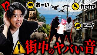 【警告】すぐ逃げろ…聞こえたらヤバい『実は危険な音』の正体がガチで怖すぎた。