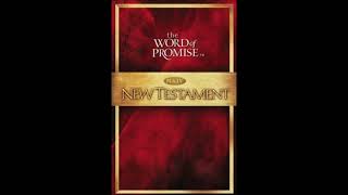 1st 2nd and 3rd John NKJV Audio Bible No. #50