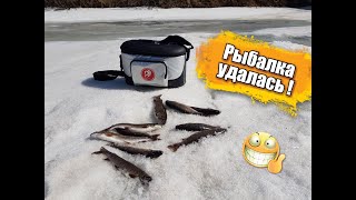 Ссылка