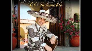 El Indomable Lyrics English Translation