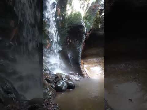 #Cenote de tava'i, departamento de caazapa 🇵🇾