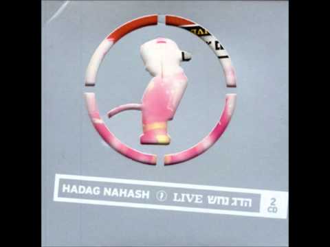 הדג נחש     חליפות עם ליאורה יצחק LIVE