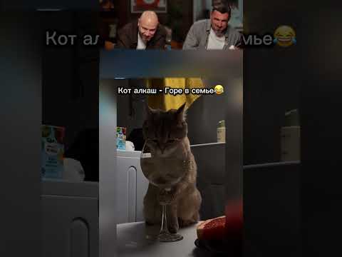 ЗАСМЕЯЛСЯ-ПОДПИСАЛСЯ! Ч.076😂РЖУ ПОЛ ДНЯ🤣