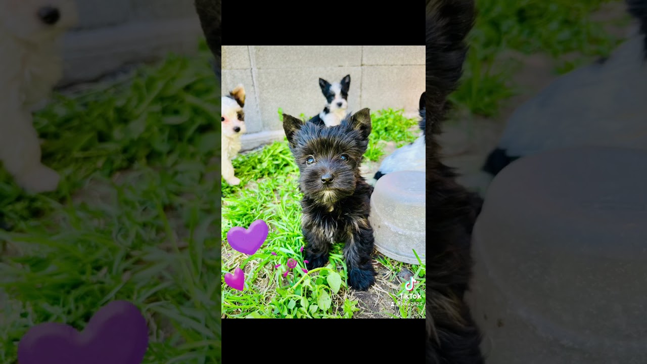 Fotofits upload UCGpf2xlOV4yXmAar149G3xA 9Hcm87pGNi